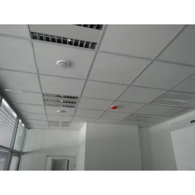 Лилия Потолок Рокфон 600х600